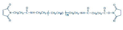 MAL-PEG-NHS马来酰亚胺-聚乙二醇-琥珀酰亚胺琥珀酸酯,MAL-PEG-NHS  Maleimide-PEG-Amino Succinimidyl Succinate