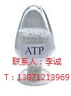 三磷酸腺苷二钠（ATP）原料药生产厂家,Adenosine 5'-triphosphate disodium salt