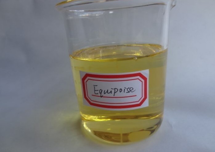 equipoise EQ BU boldenone undecylenate steroids,boldenone undecylenate