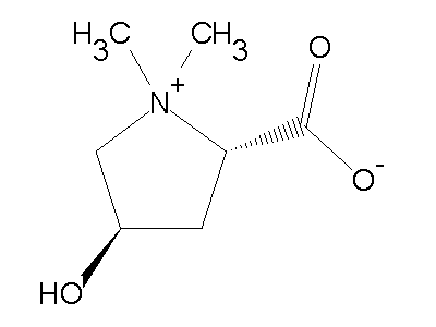 左旋水蘇堿,betonicine