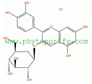 氯化矢车菊素-3-葡萄糖苷,Cyanidin-3-glucoside chloride