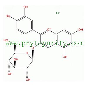 氯化矢车菊素-3-葡萄糖苷