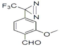 光亲和标记片段