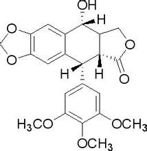 鬼臼毒素,Podophyllotoxin