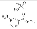 3-氨基苯甲酸乙酯甲基磺酸盐,Tricaine methanesulfonate