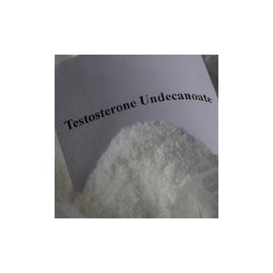 Testosterone Undecanoate