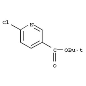 6-氯烟酸叔丁
