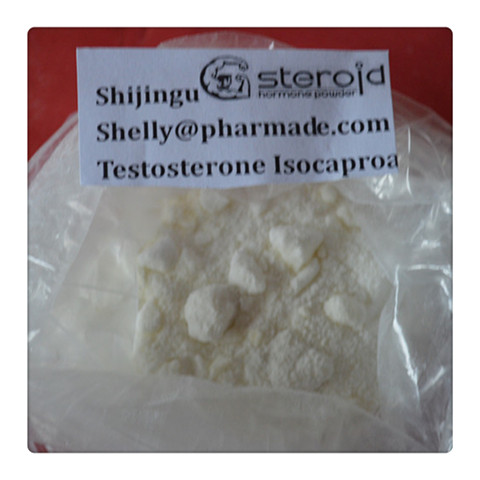 Testosterone Isocaproate,Testosterone Isocaproate