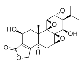 雷公藤乙素,Tripdiolide