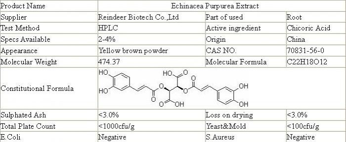 廠家優(yōu)價(jià)供應(yīng)紫錐菊提取物2%-4%菊苣酸,Echinacea Purpurea Extract