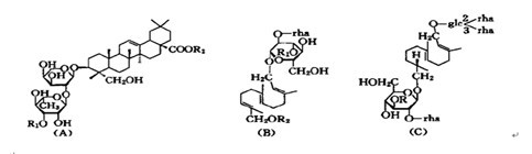 廠家供應(yīng)無患子提取物皂甙70%,Soapnut Extract