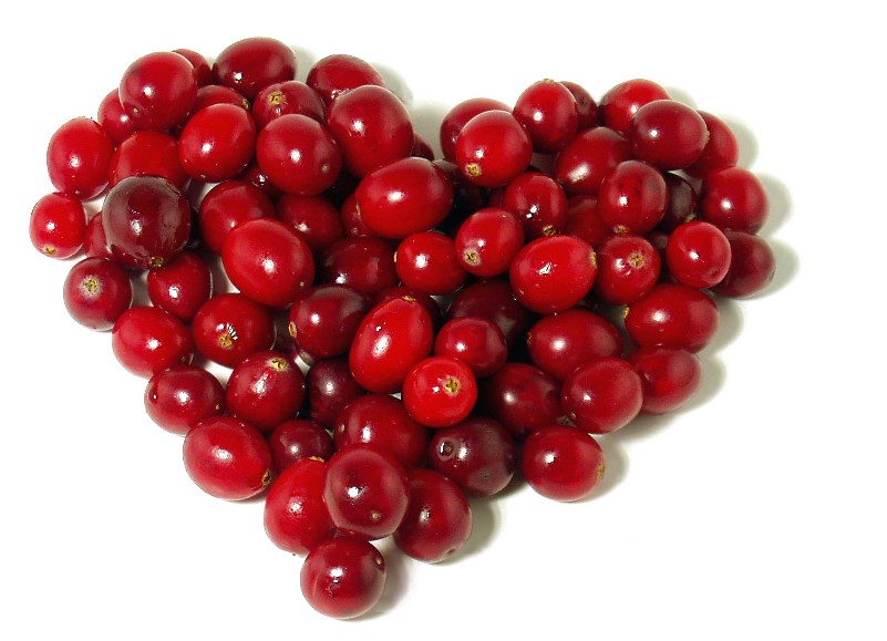 廠家優(yōu)價(jià)供應(yīng)蔓越橘提取物25%花青素,Cranberry Extract