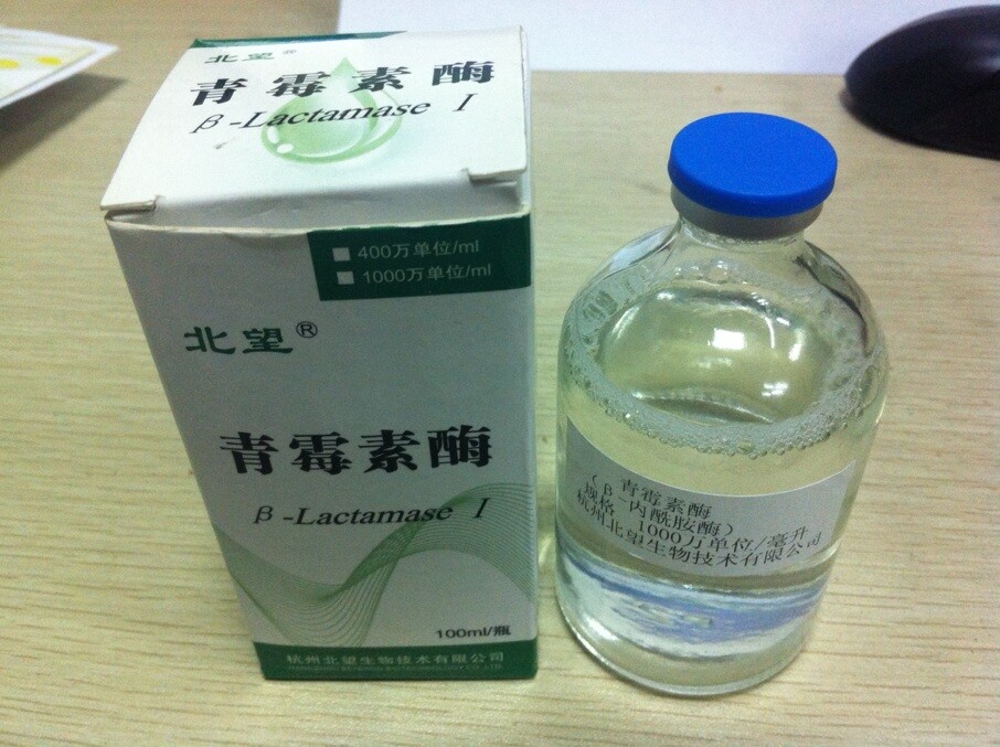 青霉素酶,β-lactamase；EC 3.5.2.6；Cephalosporinase