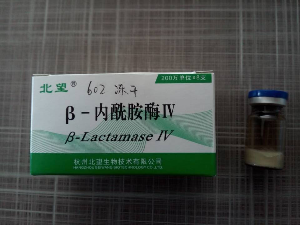 金属β-内酰胺酶,metallo-β-lactamase