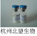 头孢菌素酶,PENICILLINASE