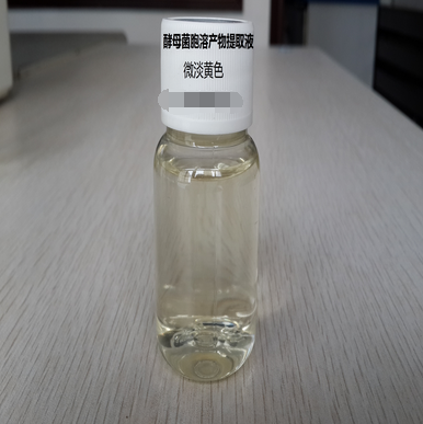 酵母菌胞溶產(chǎn)物提取液 微淡黃色,Saccharomyces Lysate Extrac