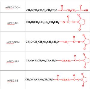 mPEG-SS 单甲氧基聚乙二醇 琥珀酰亚胺琥珀酸酯