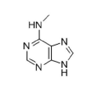 6-甲氨基嘌呤