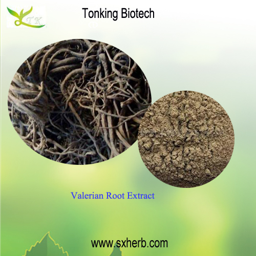 抗抑郁原料藥纈草提取物 纈草酸0.8%,Valerian root extract