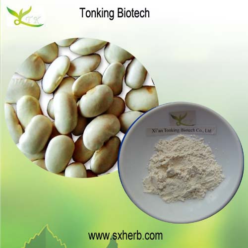 优质减肥原料 白芸豆提取物 菜豆素 1%,white kidney bean extract