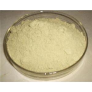 熊果酸ursolic acid