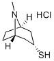 托品-3-硫醇盐酸盐,Tropine-3-thiol hydrochloride