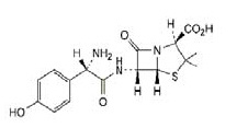 阿莫西林杂质,Amoxicillin