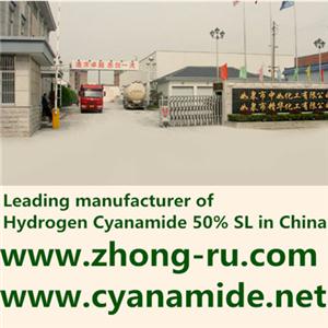 中国最大的单氰胺50%专业生产厂家-如皋市中如化工有限公司