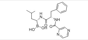 硼替佐米,Bortezomib