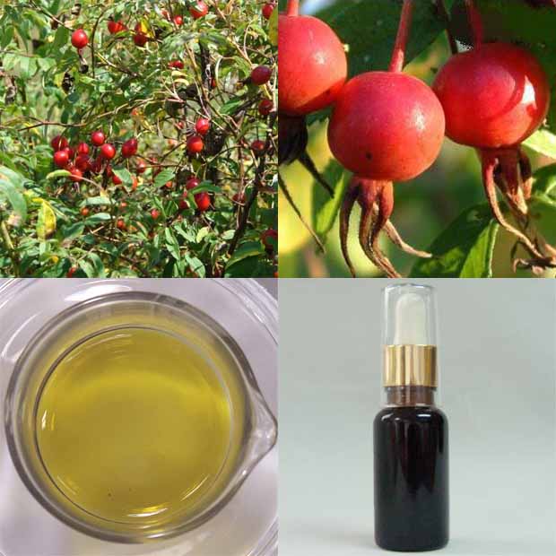 玫瑰果油,Rose Hip Oil