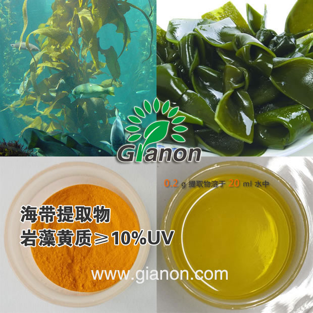 岩藻黄质,Fucoxanthin