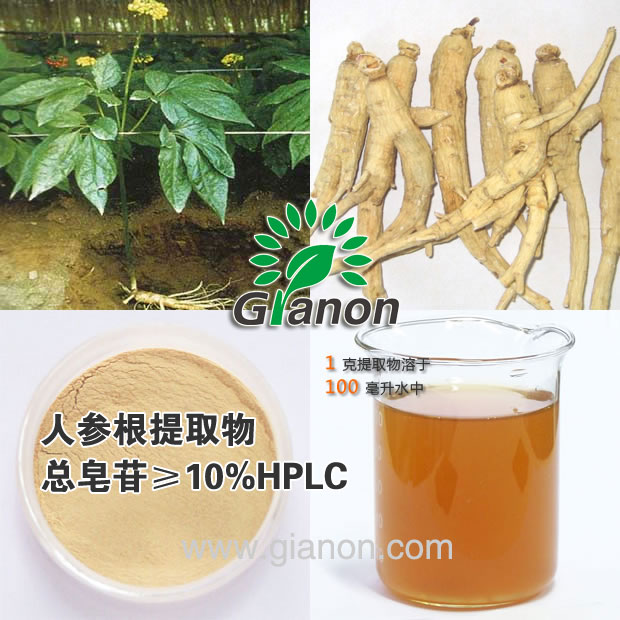 人参提取物,Panax Ginseng Root Extract