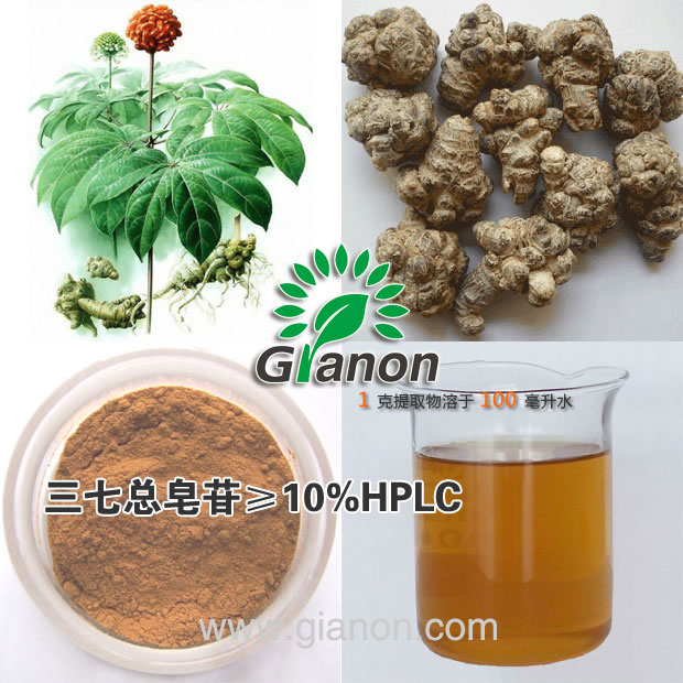 三七提取物,Panax Notoginseng Root Extract