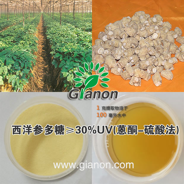 西洋参多糖,American Ginseng Polysaccharide