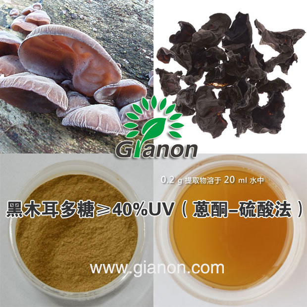 黑木耳膠原蛋白,Auricularia auricularCollagen