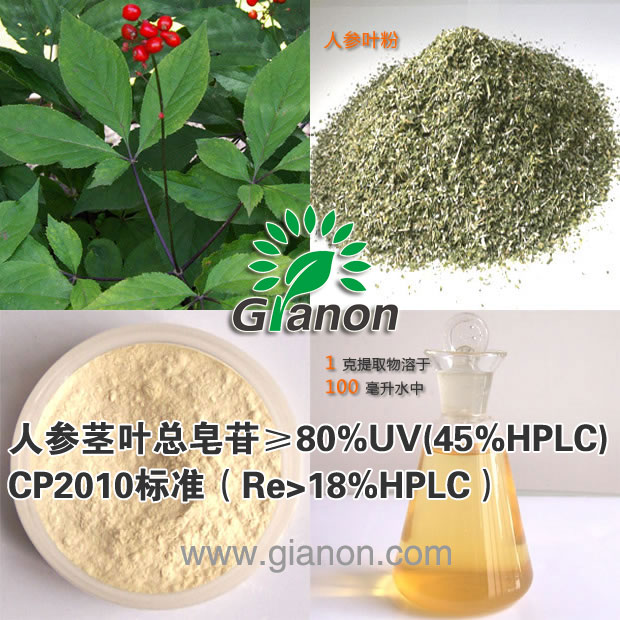人参茎叶总皂甙,Panax Ginseng Leaf Extract
