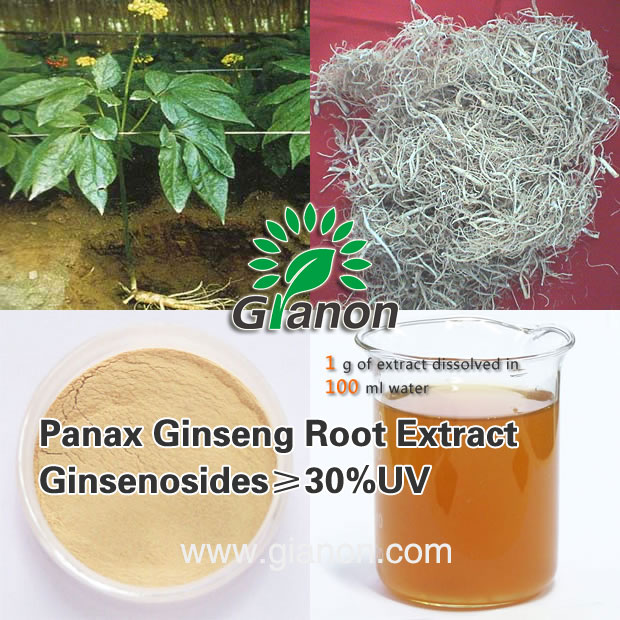 人参根提取物,Panax Ginseng Root Extract