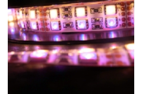 Bend Freely/ easily Bent DC12V 60LEDs/ M 2835 Flexible LED Ribbon Strip