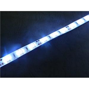 Superior 3528 SMD White Color LED Flexible Strips 120LED/ m