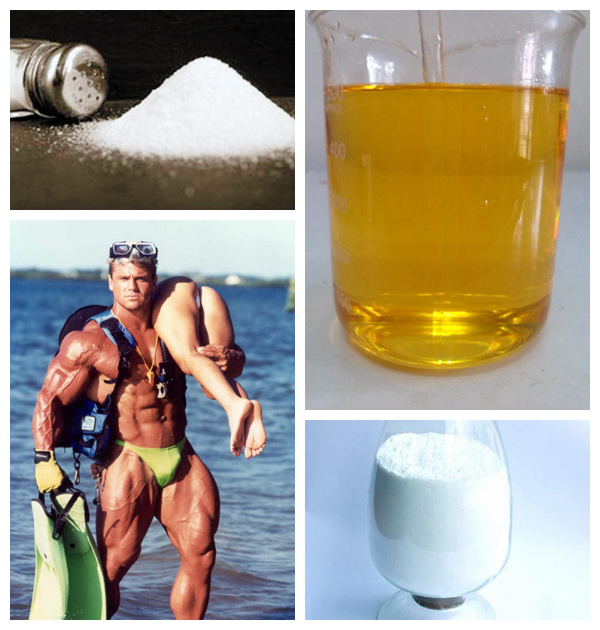 99% Purity Testosterone Enanthate for body building CAS 315-37-,testosterone enantate