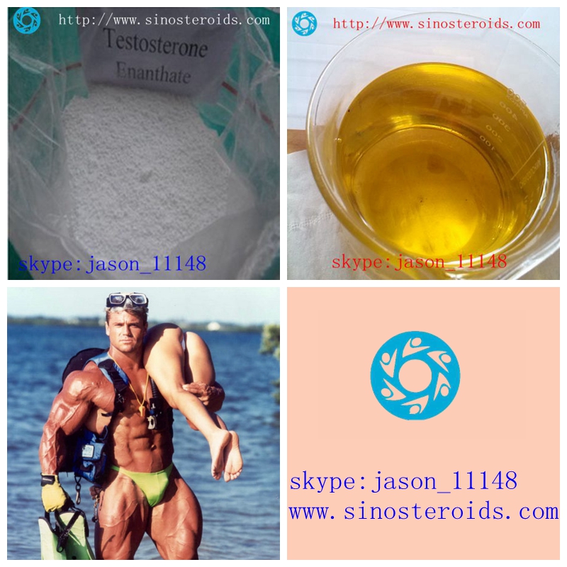 99% Purity Testosterone Enanthate for Body building,testosterone enantate