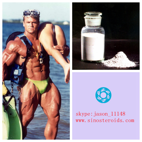 Hot Sale Testosterone Phenylpropionate For Body Building  CAS 255-49-,Testosterone Phenylpropionat