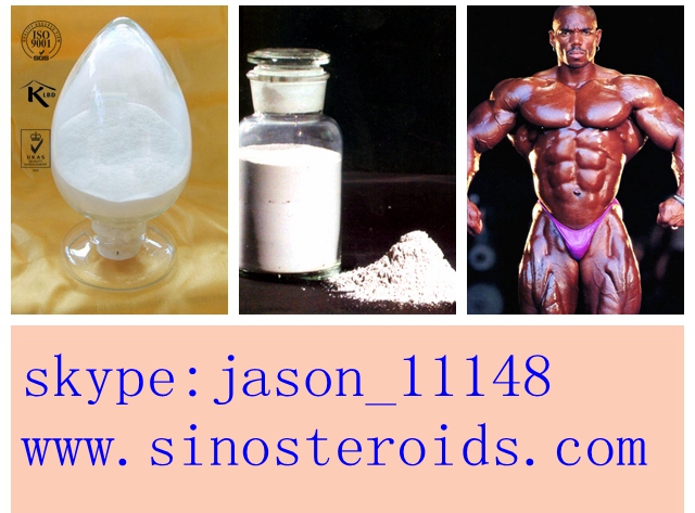 Testosterone Isocaproate,Testosterone Isocaproate