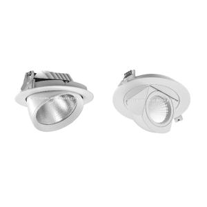 Adjustable Cob LED Trunk Ceiling Light