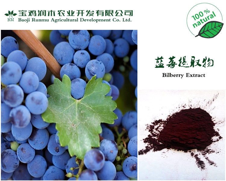 宝鸡润木 供应 蓝莓提取物 花青素 原花青素 5%-25% 越橘提取物,Blueberry extract