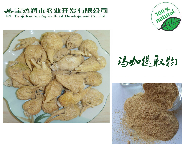 宝鸡润木 供应  玛咖提取物 玛卡生粉 比例产品,Maca extract