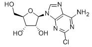 6-Amino-2-chloropurine riboside,6-Amino-2-chloropurine riboside