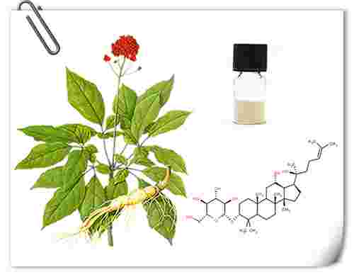 Ginsenoside Rh2,Ginsenoside Rh2