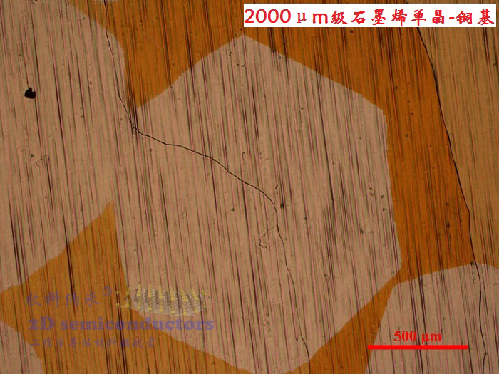 铜基2000um石墨烯单晶,Single-Crystal Graphene on copper foil