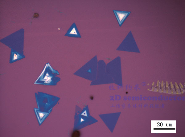 CVD-WSe2三角形单晶,Triangle CVD-WSe2 single-Crysta